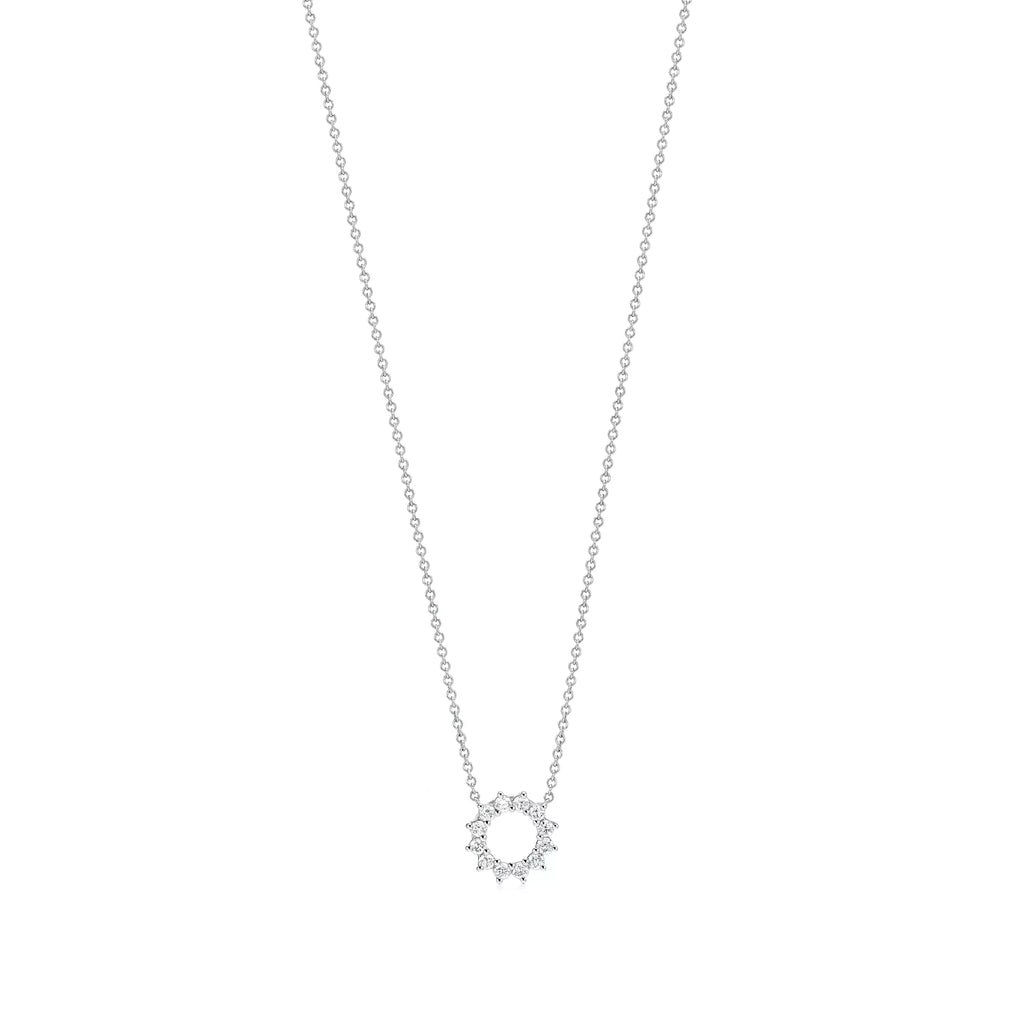 Carave Paris Eternal Circle Cluster Pendant Necklace