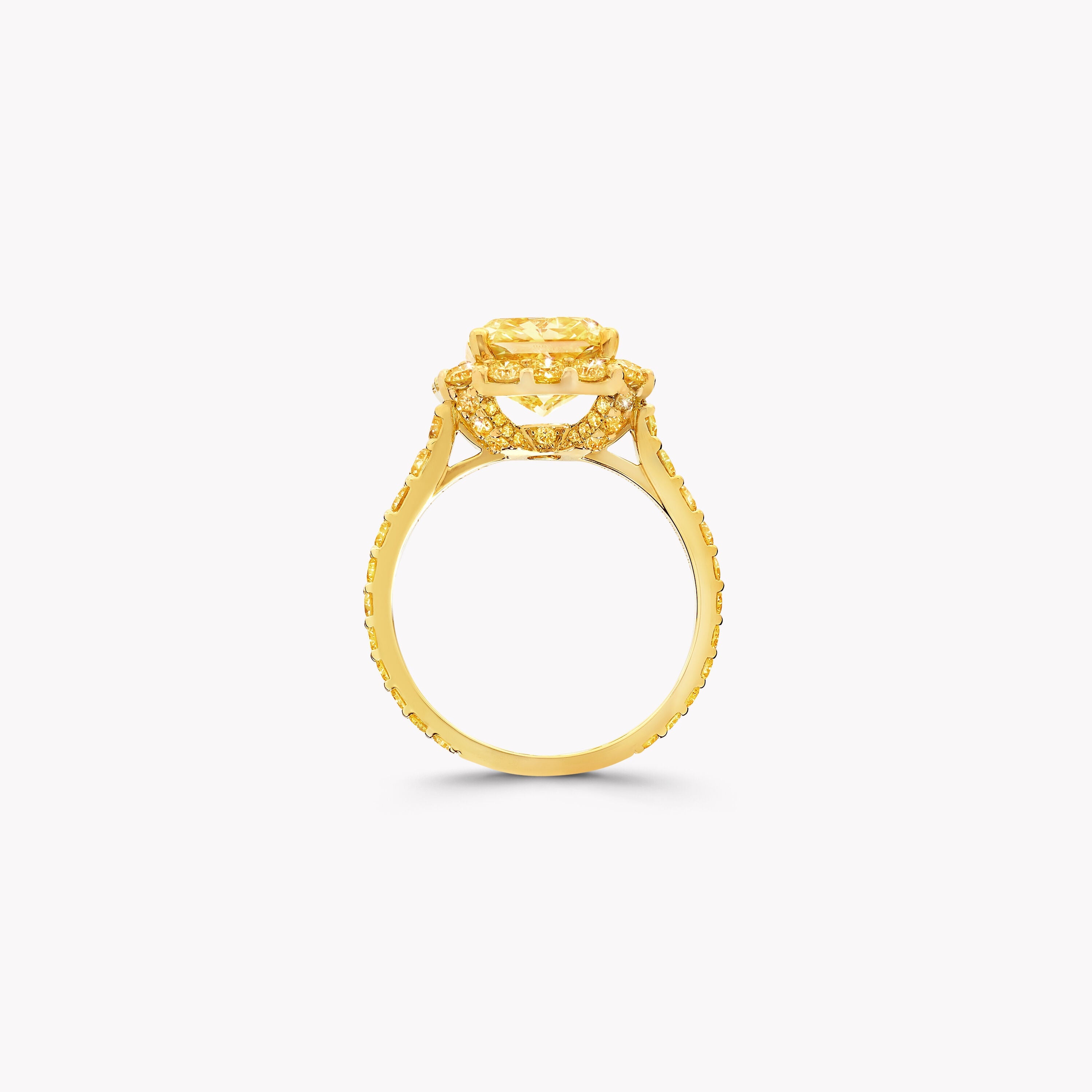 Carave Paris Fancy Yellow Cushion Cut Halo Diamond Ring
