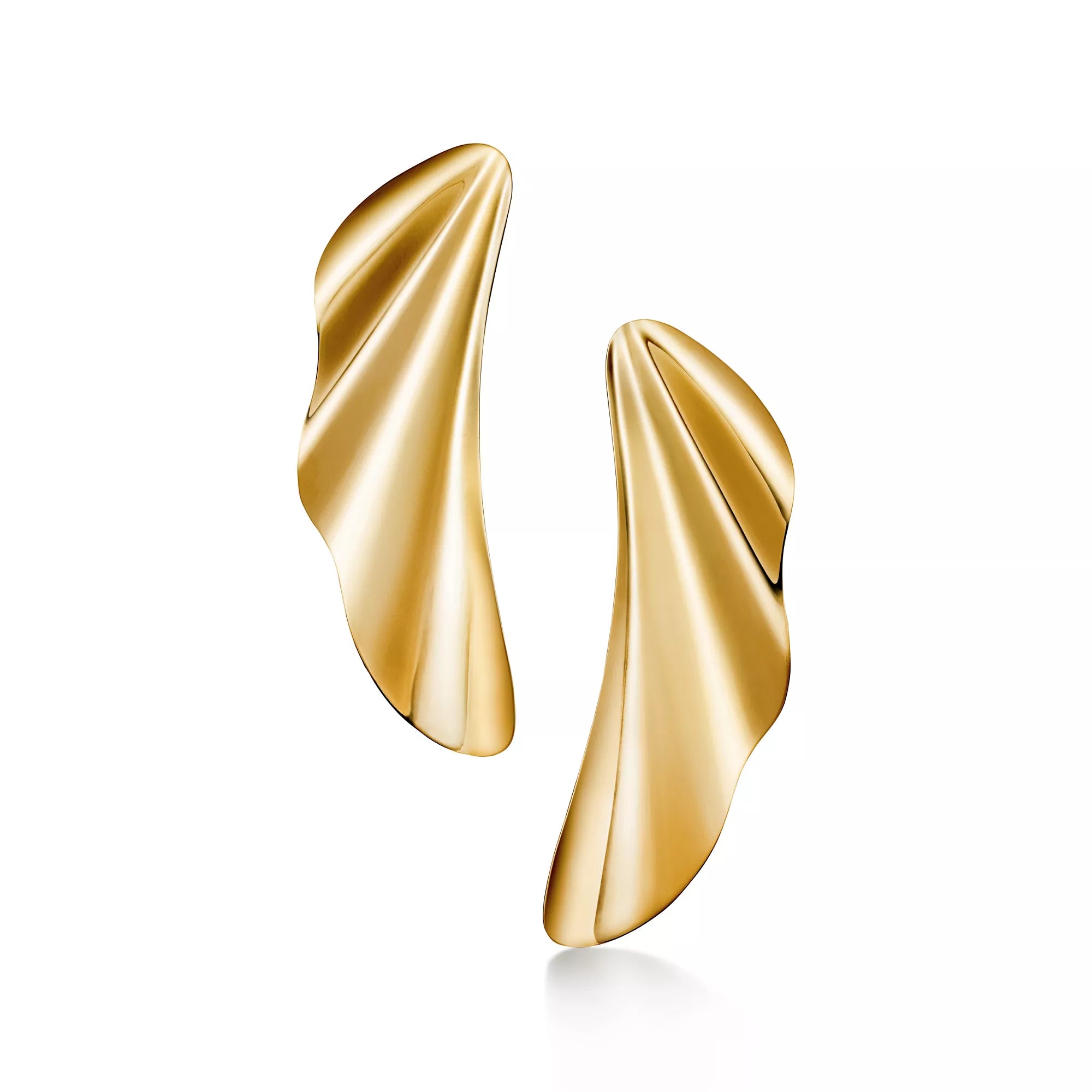 Carave Paris Fluid Wave Sculptural Earrings