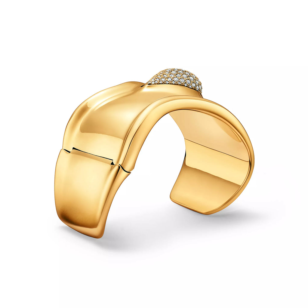 Carave Paris Gold Bone Cuff Bracelet with Stone Detail for Women