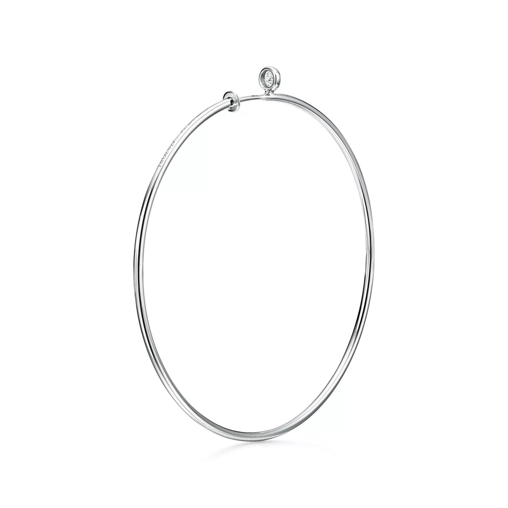 Carave Paris Minimalist Oval Hoop Earrings