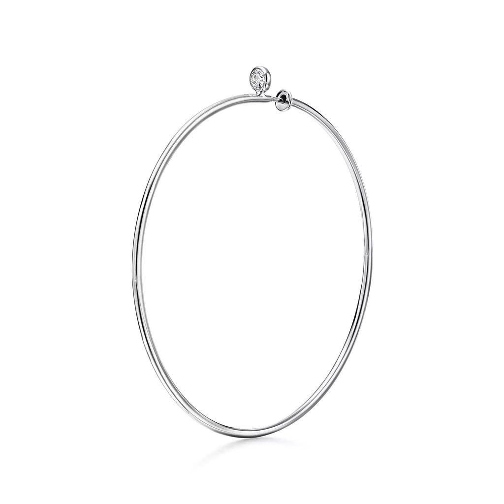 Carave Paris Minimalist Oval Hoop Earrings