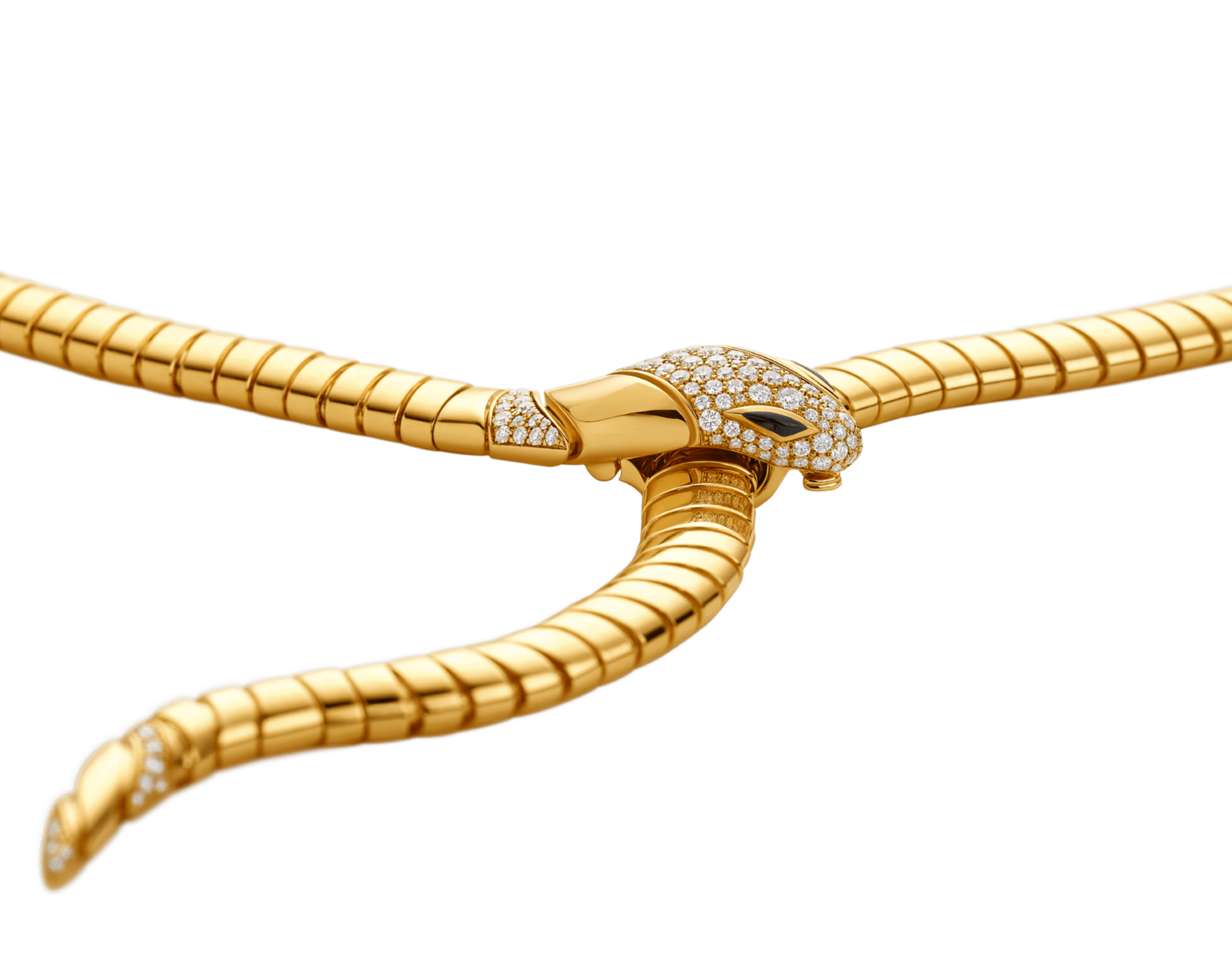 Carave Paris Serpentine Y Drop Collar Necklace