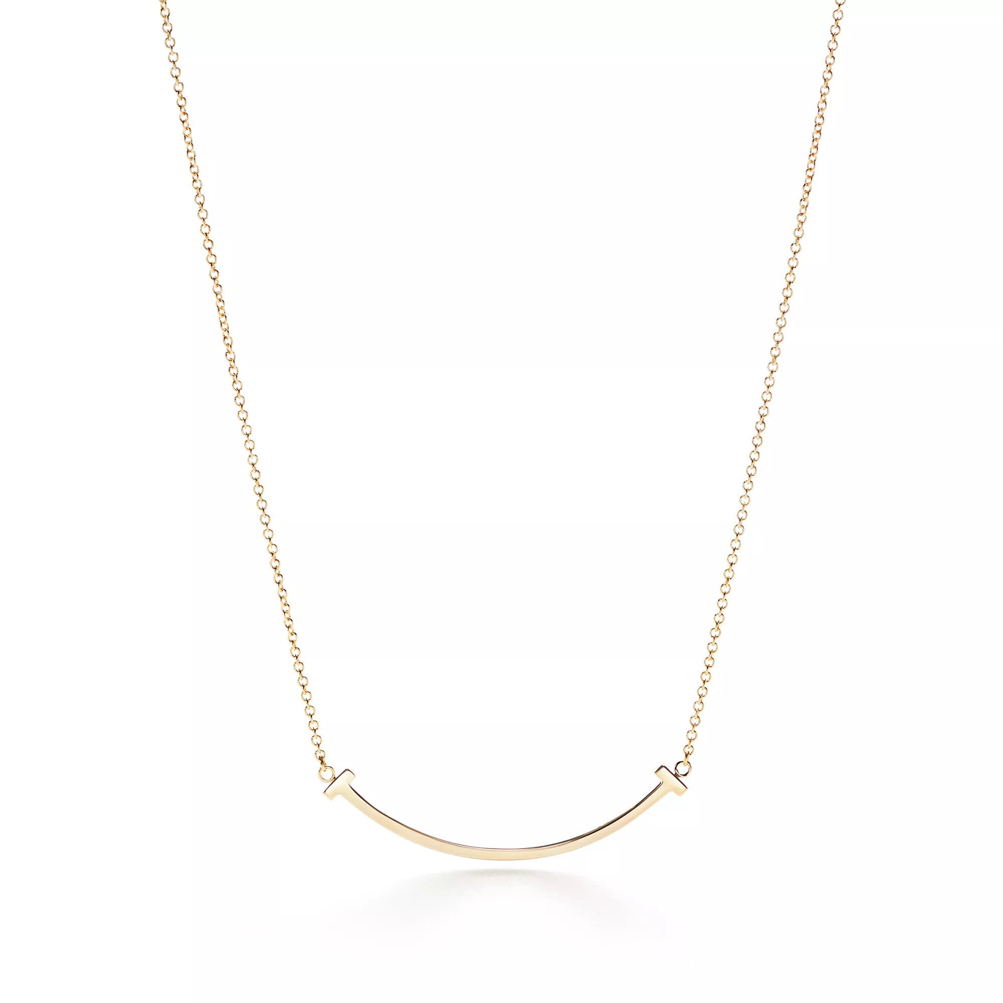 Carave Paris Signature Curved Bar Necklace