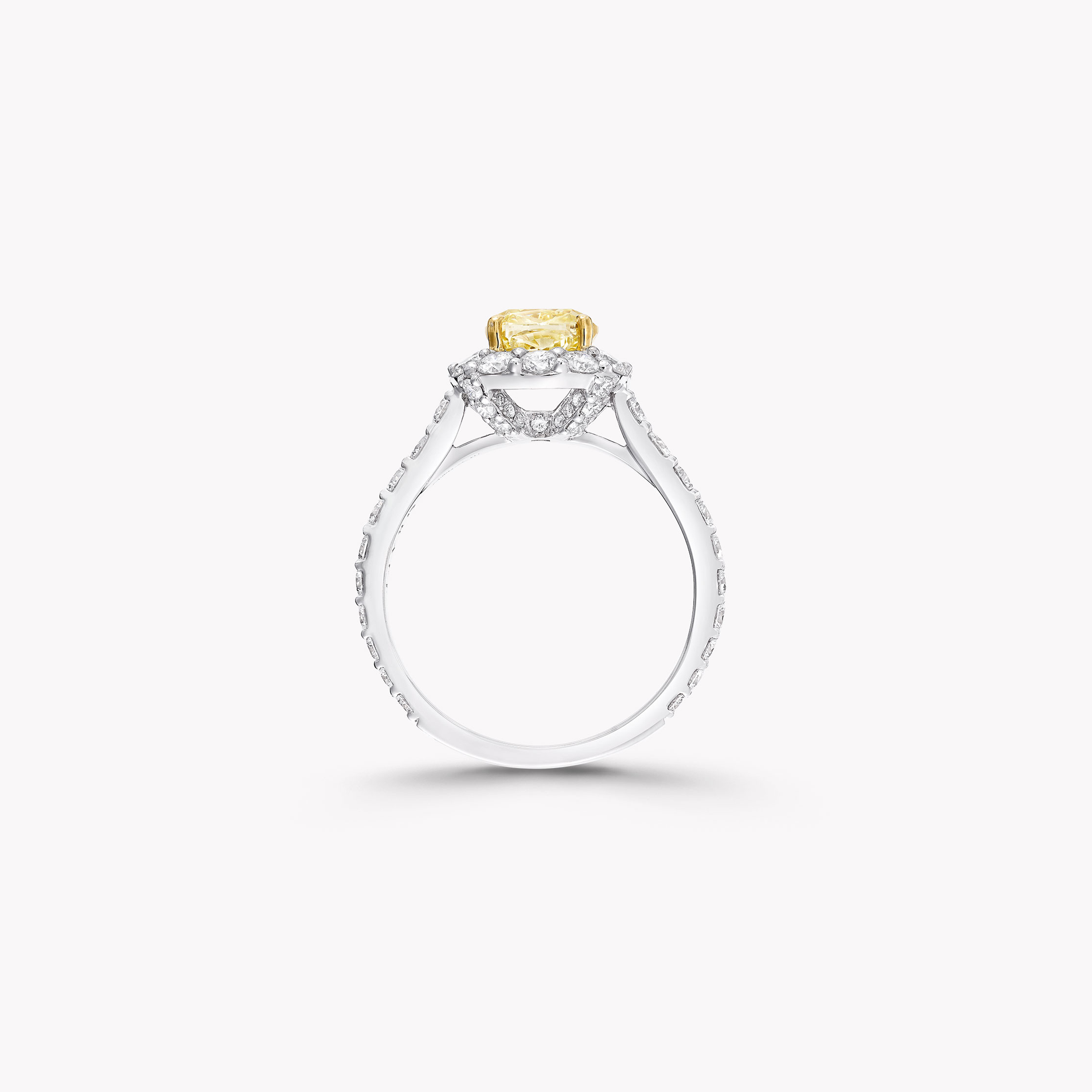 Carave Paris Yellow Cushion Halo Diamond Ring