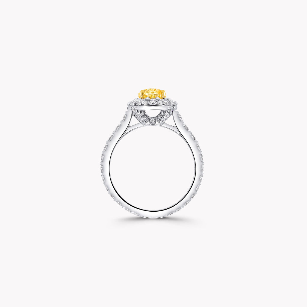 Carave Paris Yellow Oval Halo Diamond Ring